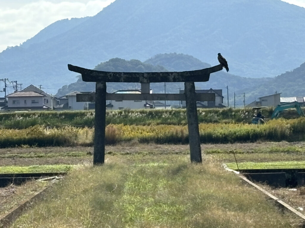 仲多度郡多度津町 加茂神社 鳥居