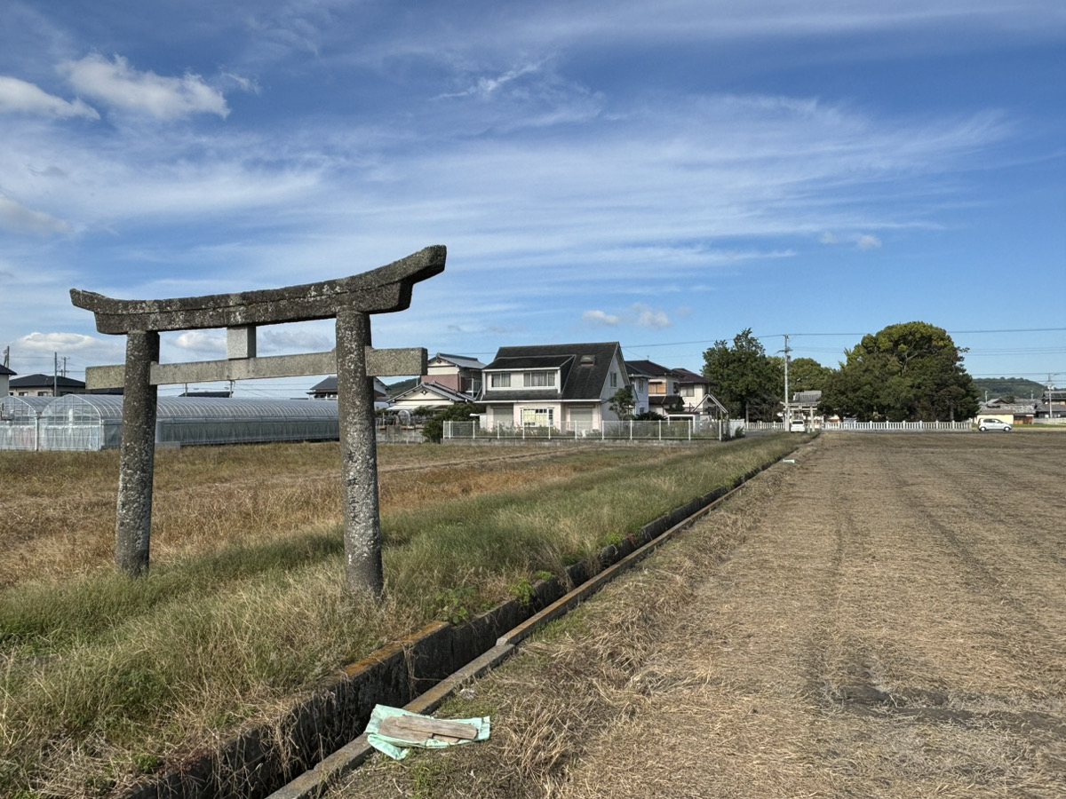 仲多度郡多度津町 加茂神社 参道