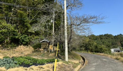 いま敏感な時期なので・・・そっとしておきたいお地蔵さん