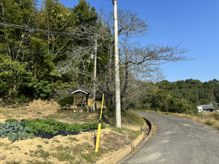 いま敏感な時期なので・・・そっとしておきたいお地蔵さん