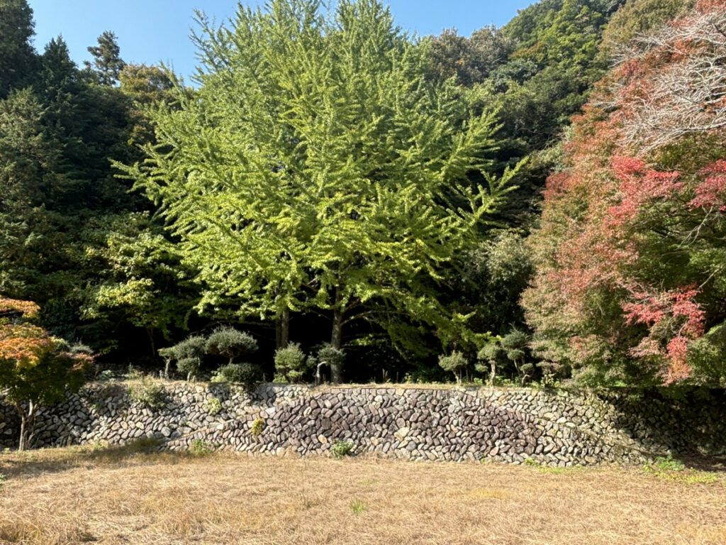 綾川町 枌所小学校柏原分校跡 石垣