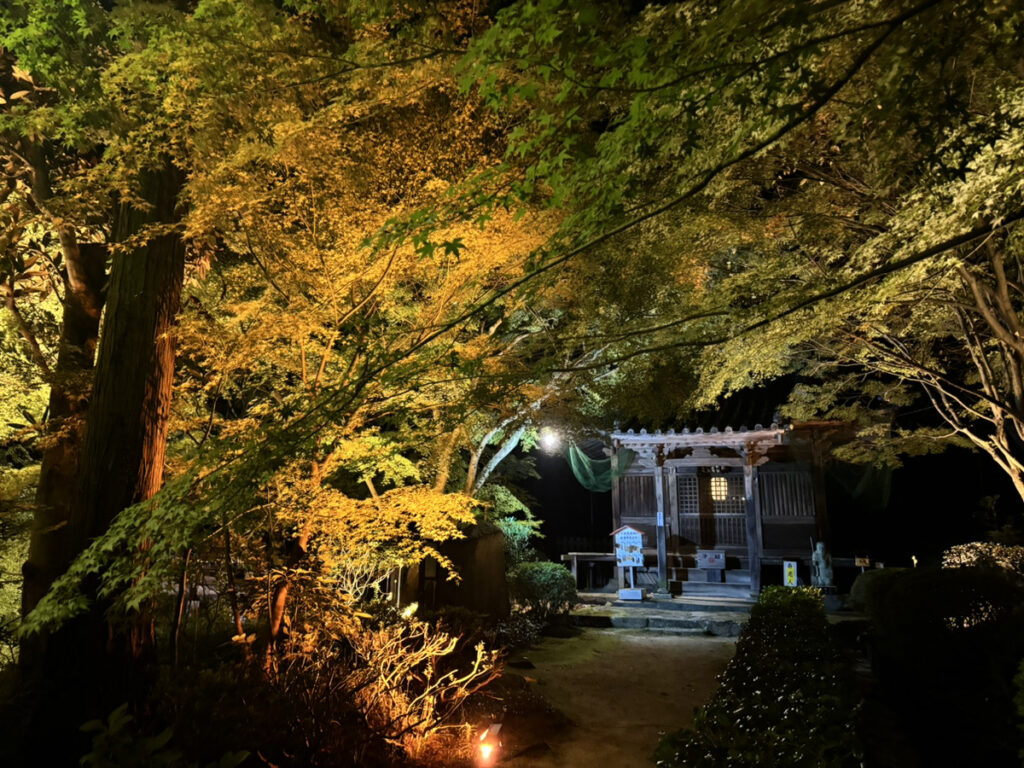 四国八十八ヶ所霊場 白峯寺 根香寺 夜間特別拝観ライトアップ