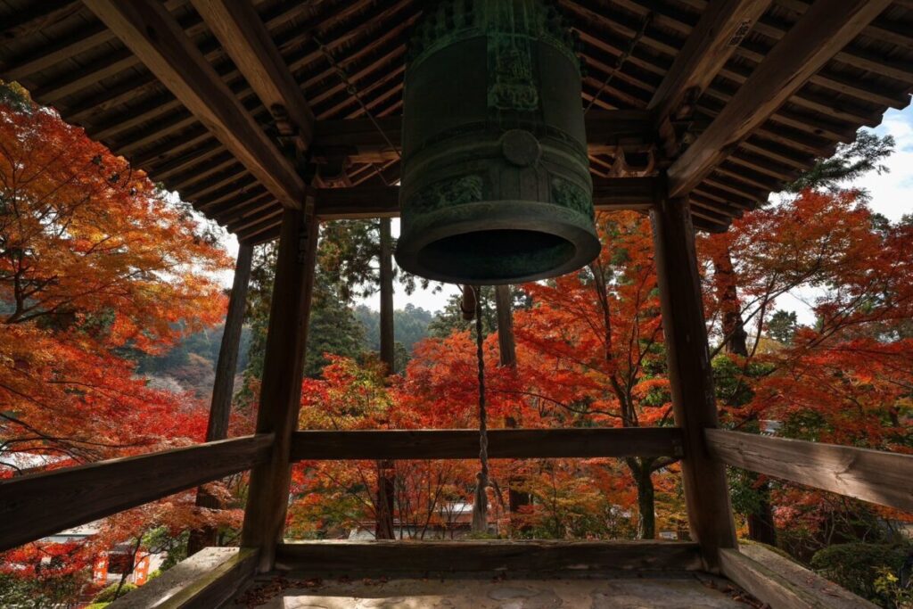 四国八十八ヶ所霊場 白峯寺 根香寺 夜間特別拝観ライトアップ