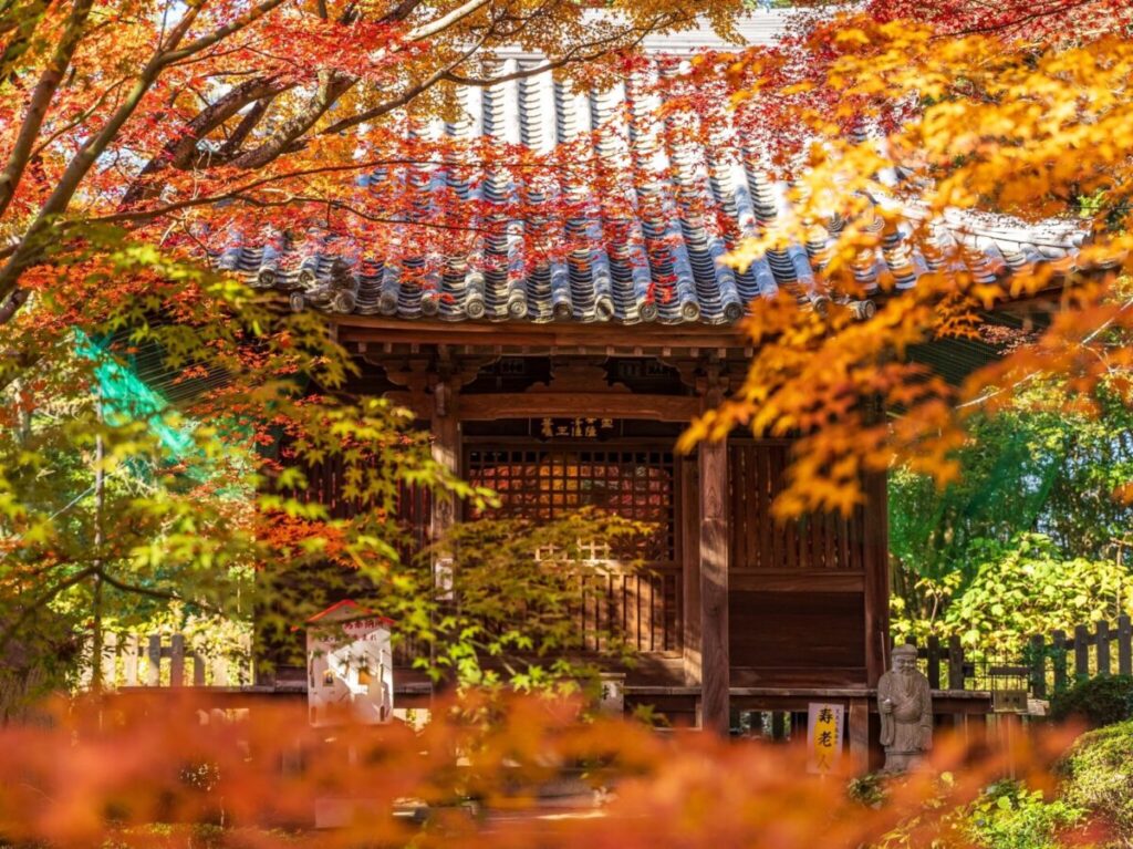 四国八十八ヶ所霊場 白峯寺 根香寺 夜間特別拝観ライトアップ