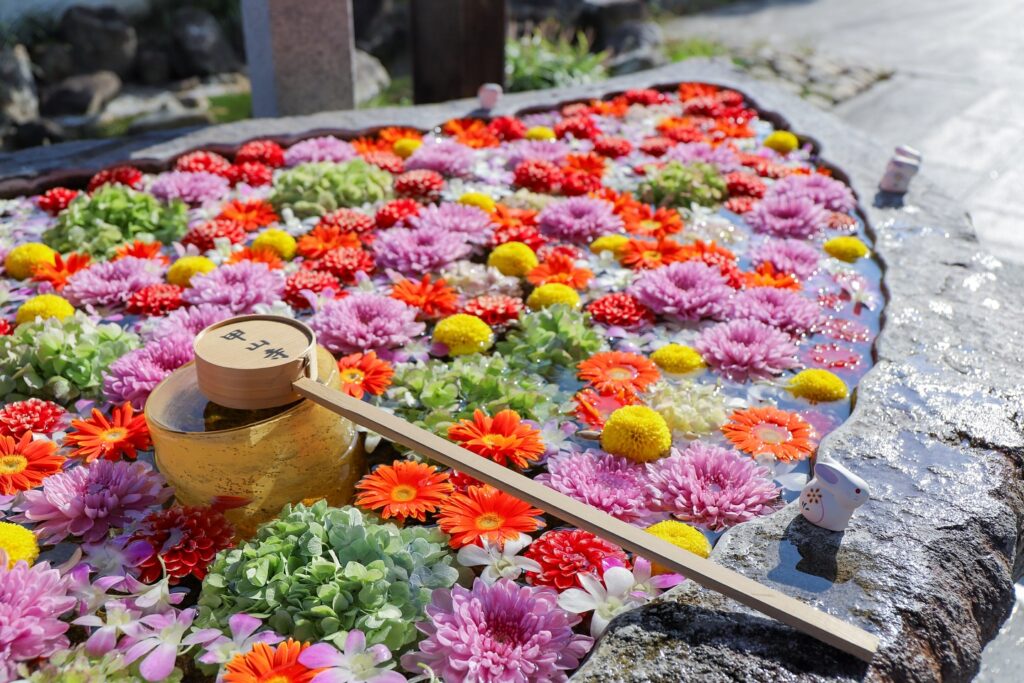 七カ所まいり花めぐり2024秋