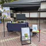 琴平町 matcha no 茶々茶