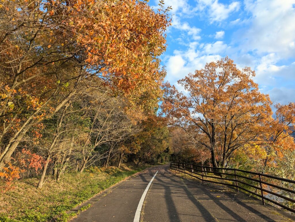 まんのう町 満濃池 紅葉