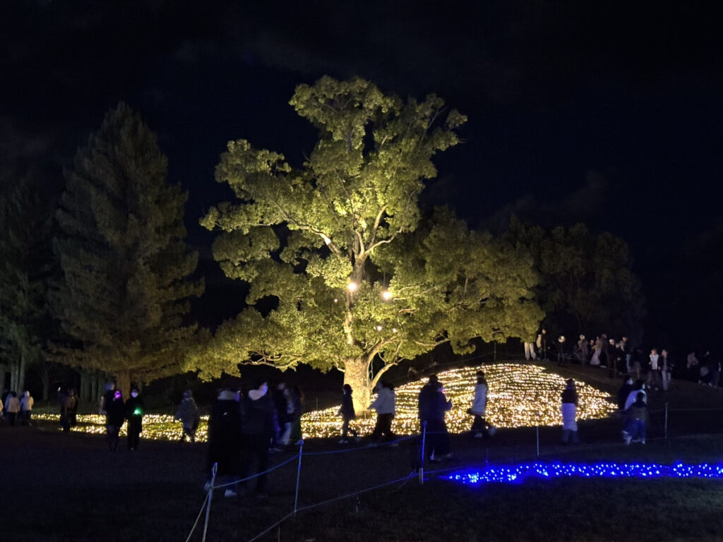 国営讃岐まんのう公園 木のライトアップ