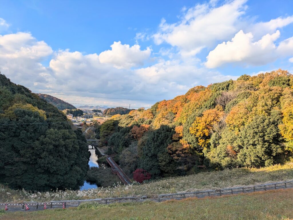 まんのう町 満濃池 紅葉