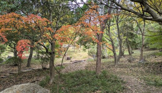 飯野山で発見！錆び付いた穴だらけの物体は何？