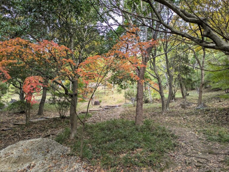 飯野山で発見！錆び付いた穴だらけの物体は何？