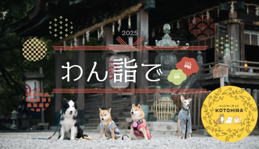 金刀比羅宮で「ペット参拝わん詣で＆ペットマーケットKOTOHIRA」が2025年1月31日(金)～2月2日(日)の3日間開催される！