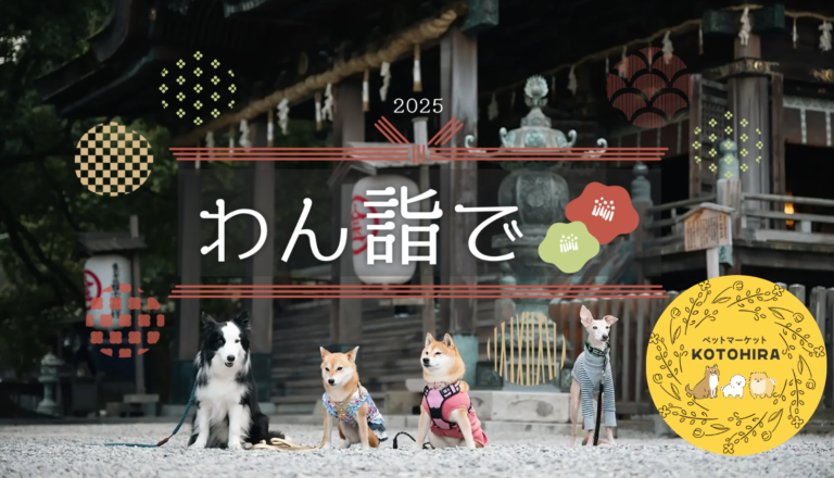 金刀比羅宮で「ペット参拝わん詣で＆ペットマーケットKOTOHIRA」が2025年1月31日(金)～2月2日(日)の3日間開催される！