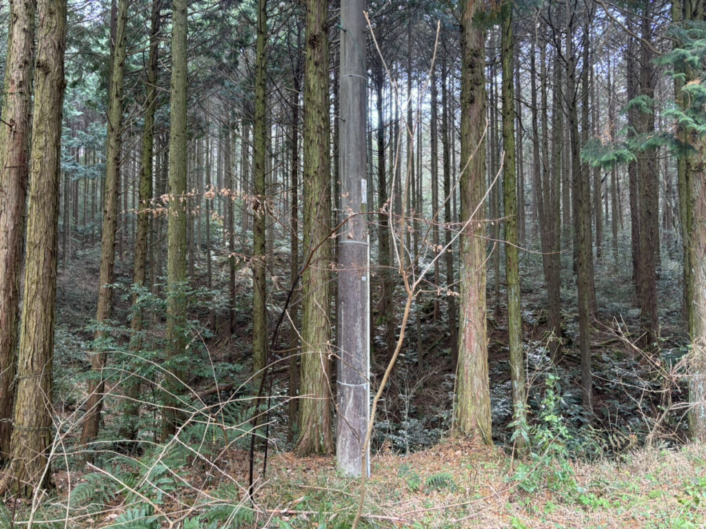 まんのう町 首切峠 電柱