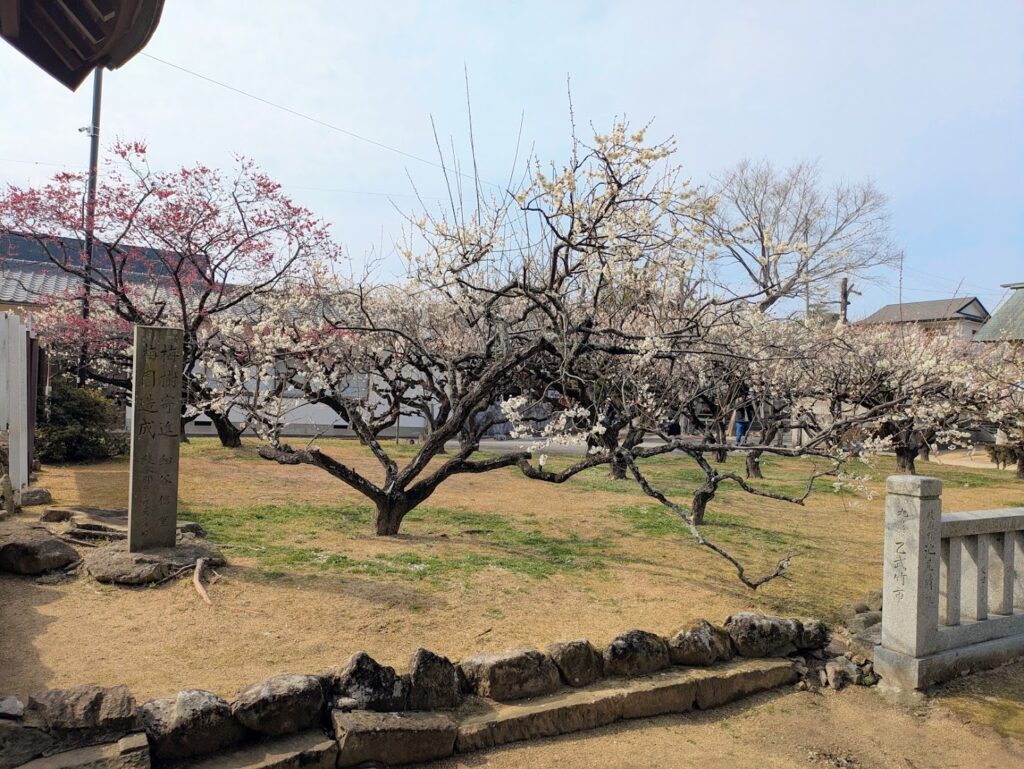 綾川町 滝宮天満宮