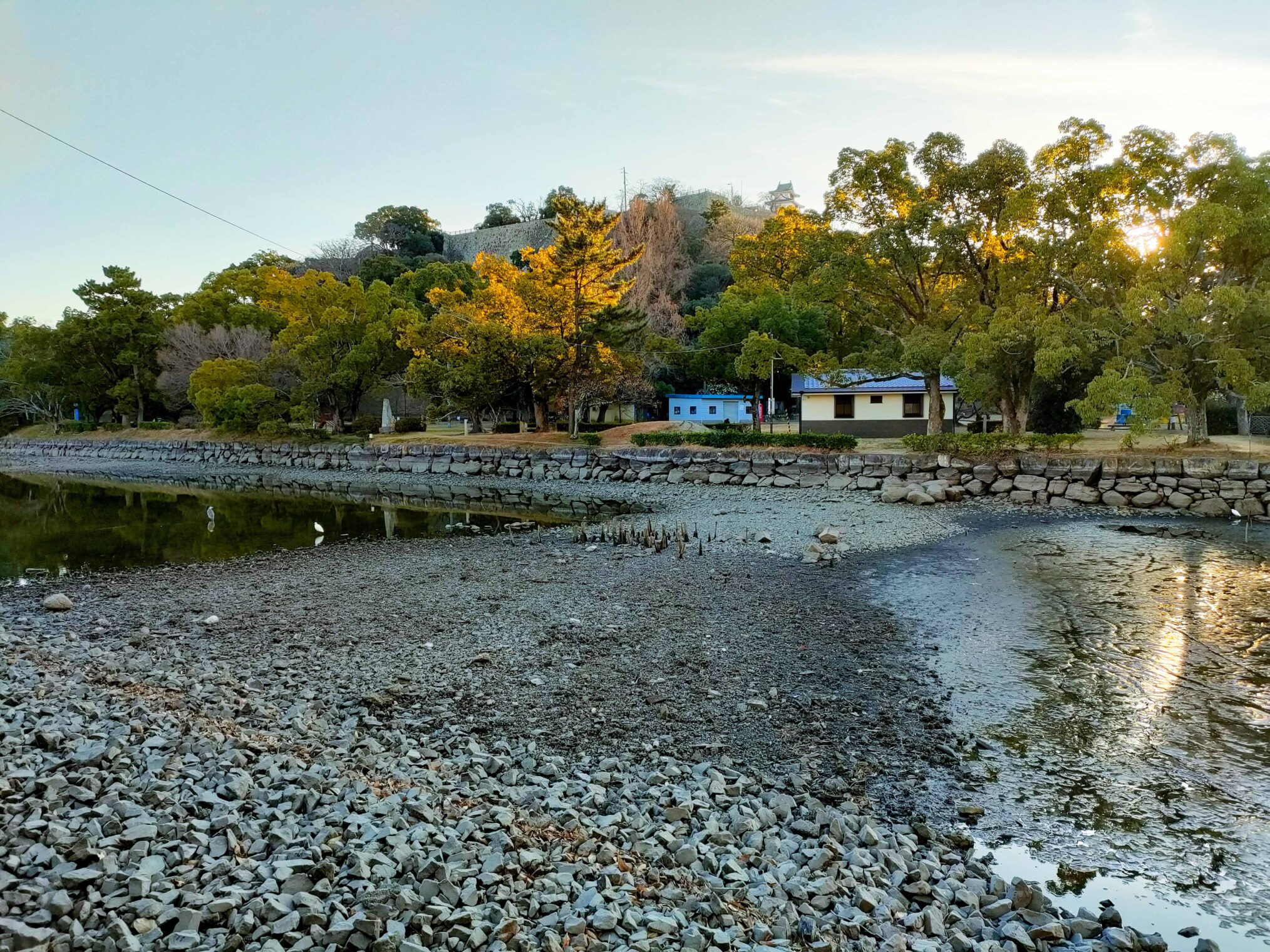 丸亀市大手町 丸亀城 かいぼり