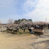 綾川町 滝宮天満宮